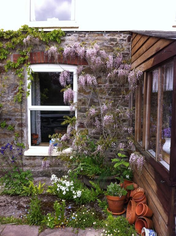 Vine Cottage Penpillick Zewnętrze zdjęcie