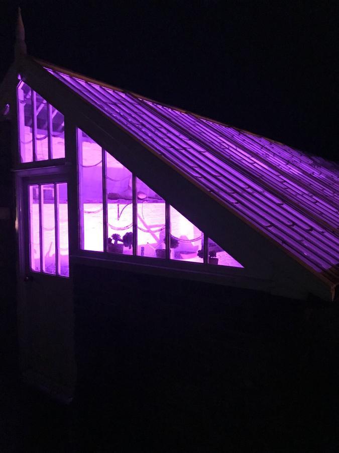 Vine Cottage Penpillick Zewnętrze zdjęcie