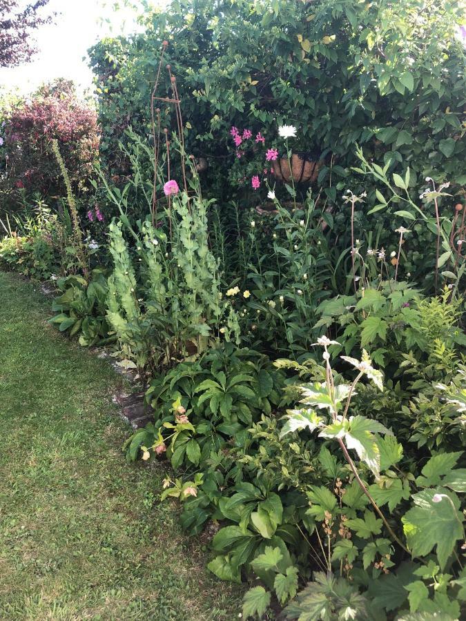 Vine Cottage Penpillick Zewnętrze zdjęcie